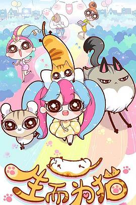 微网站建设网站排名优化